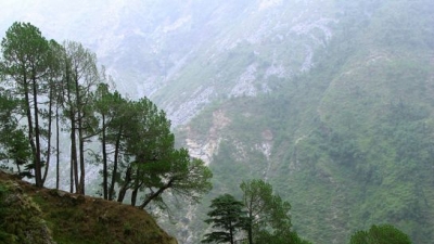 Triund
