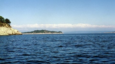 Maharana Pratap Sagar Dam