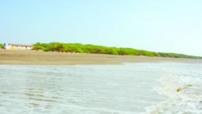 Ghogha Beach