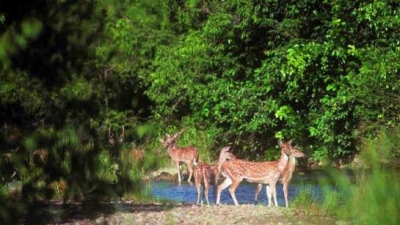 Barda Hills Wildlife Sanctuary