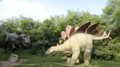 Indroda Dinosaur And Fossil Park