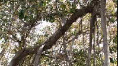 Bilorda Hari Om Ashram