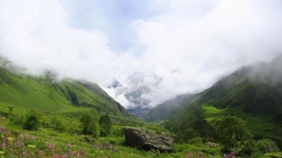 Valley Of Flowers