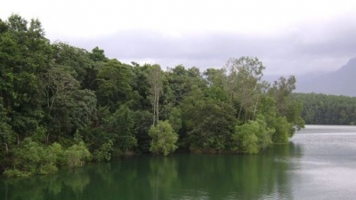 Peppara Wildlife Sanctuary