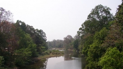 Nedumkayam