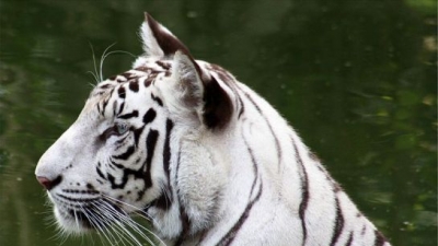 National Zoological Park
