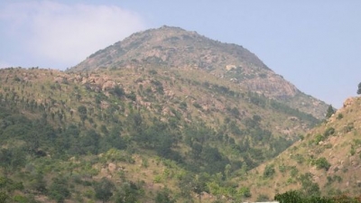 Annamalai Hills
