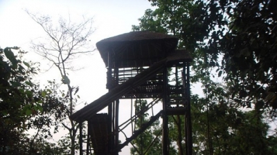 Pilibhit Tiger Reserve