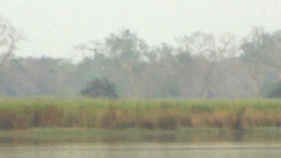 Orang National Park