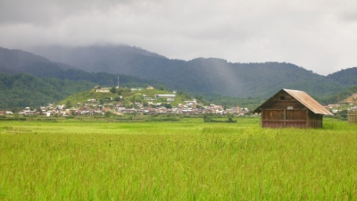 Talley Valley