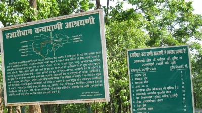 Hazaribagh National Park