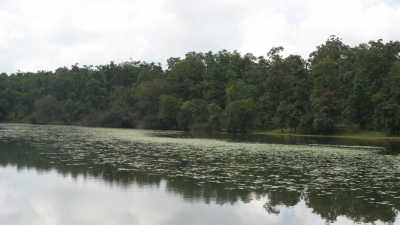 Kavadikeri Lake
