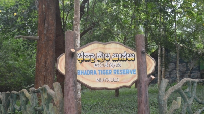 Muthodi Forest Camp