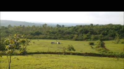 Gottam Gutta Forest