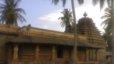 Halasi
