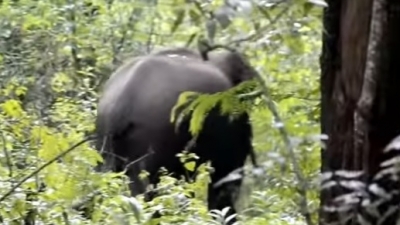 Wildlife Sanctuary