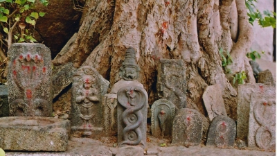 The Naag (Cobra) Temple