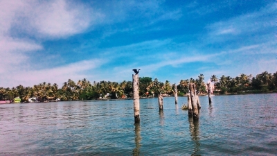 Kayamkulam Lake