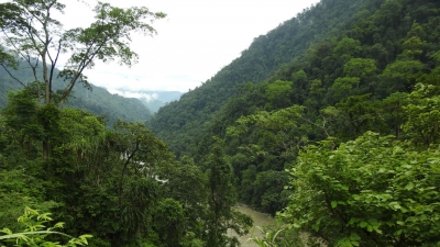 Pakke Tiger Reserve