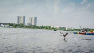 Muttukadu Backwaters