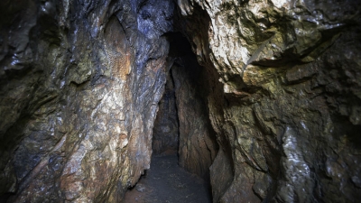Bndhavgarh Ancient Caves