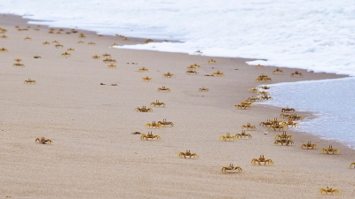 Puri Konark Marine Drive