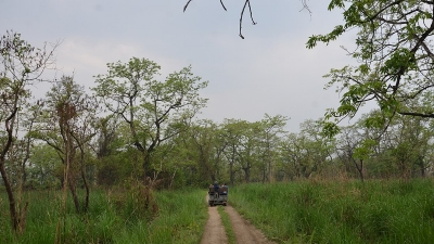 Jeep Safari