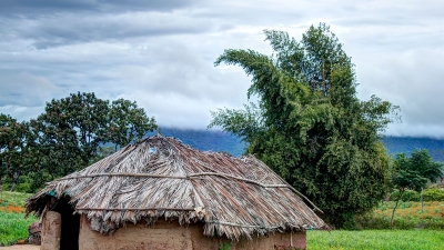 Kulgi Nature Camp