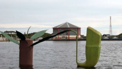 Jarain Pitcher Plant Lake