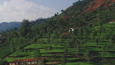 John Sullivan Memorial