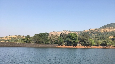 Bushy Dam