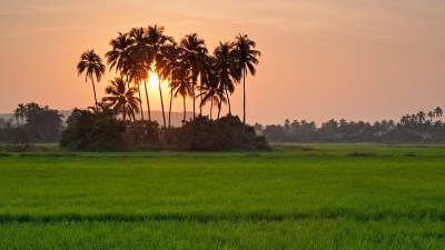 Siolim