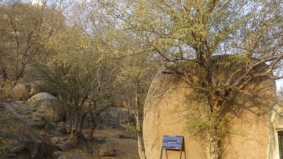 Ashoka Shilalekh