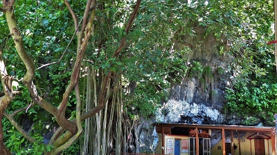Vashishta Gufa