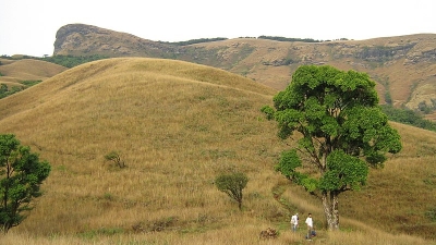 Kudremukh Peak