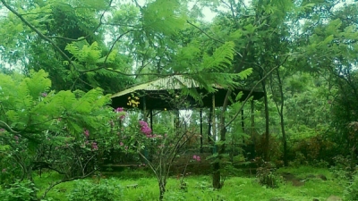 Forest Park And Medicinal Plant Garden