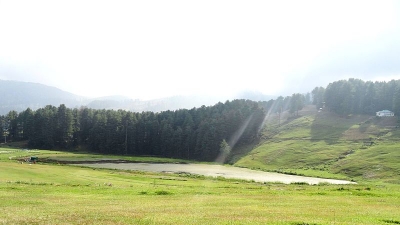 Shanta Gala