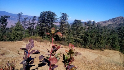 Eco Park