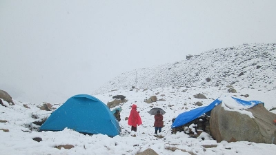Vasuki Tal