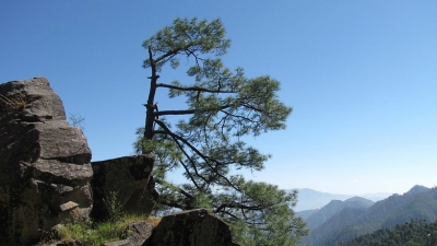 Chorabhari Tal