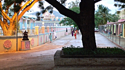 Kalpa Vruksham