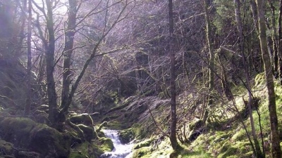 Mossy Falls
