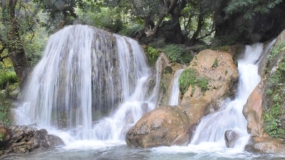 Jharipani Falls