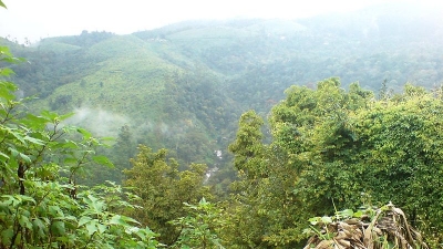 Thrissanku Hills