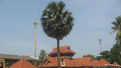 Chakkulathu Kavu Temple