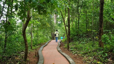 Central Forest Nursery