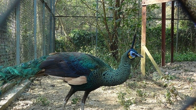 Manipur Zoological Gardens