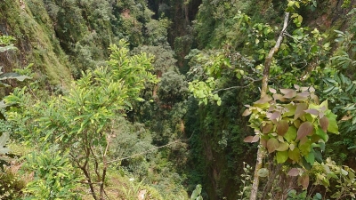 Handi Khoh