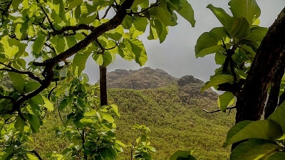 Priyadarshini Point