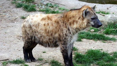 Balaram Wildlife Sanctuary